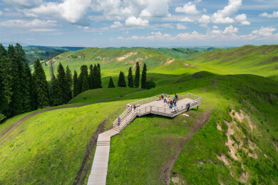 中国新疆伊犁库尔德宁草原高山草甸自然风光