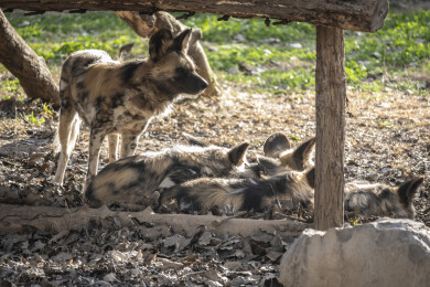 其乐融融的一家子
