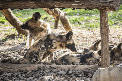 其乐融融的一家子