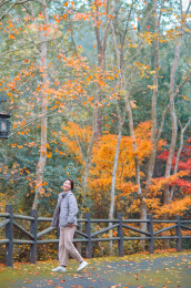 中国女性在浙江宁波奉化溪口杜鹃谷欣赏红枫