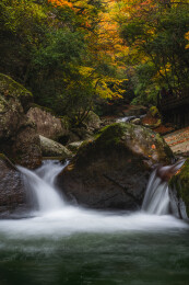 中国四川光雾山景区十八月潭的红叶和溪水