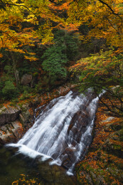 中国四川光雾山景区十八月潭的红叶和溪水