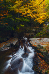 中国四川光雾山景区十八月潭的红叶和溪水
