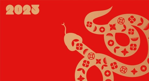 2025简约几何蛇年