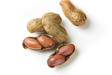 一盘卤花生摆放在白色背景上特写