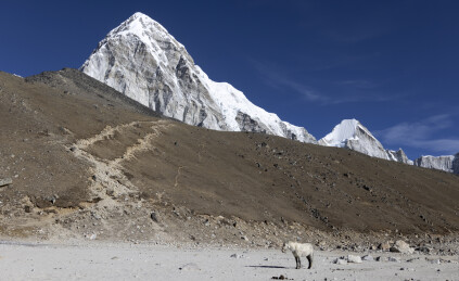 尼泊尔EBC珠峰南坡大本营风光
