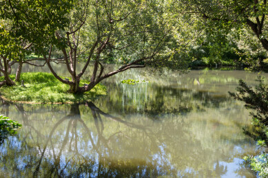 浙江杭州市杭州西湖风景区柳浪闻莺