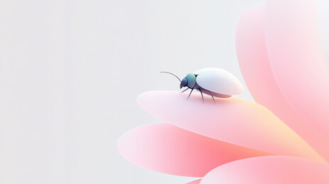 花瓣上的小虫