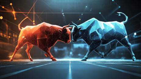 3D风格两只公牛