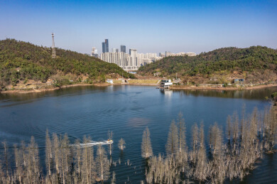 航拍湖南长沙岳麓区象鼻窝森林公园