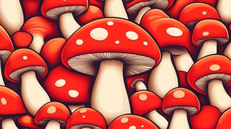 密集的红色毒蝇伞