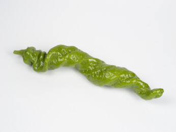 蔬菜螺丝椒