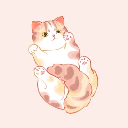 可爱三花猫要抱抱
