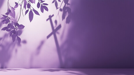 光影效果树叶影子紫色墙面场景