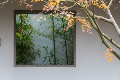 上海嘉定秋霞圃初冬风光