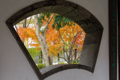 上海嘉定秋霞圃初冬风光