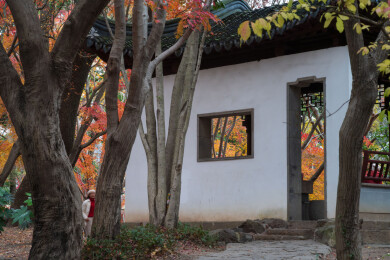 上海嘉定秋霞圃初冬风光