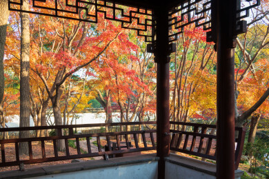 上海嘉定秋霞圃初冬风光