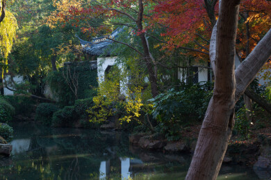 上海嘉定秋霞圃初冬风光
