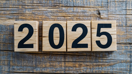 2025新年文字插图