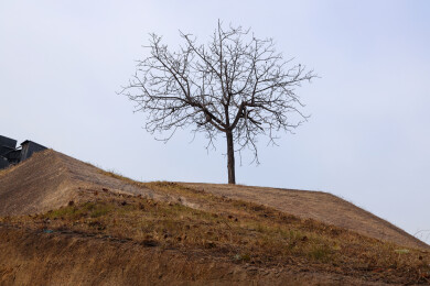 河南省郑州市，郑州商代都城内城东城垣遗址