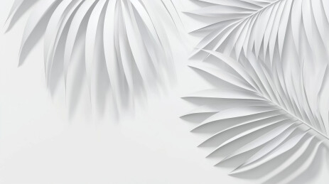 棕榈叶影投射于白墙