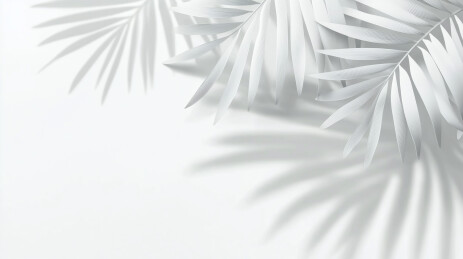 棕榈叶影投射于白墙