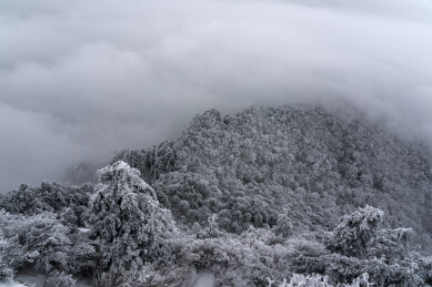 寒冷冬季大雪冰冻雾凇
