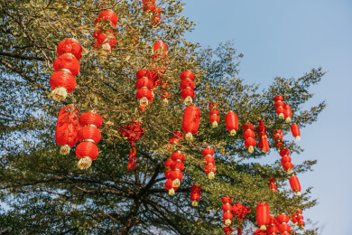 亚洲中国春节农历新年，公园树上挂满红灯笼