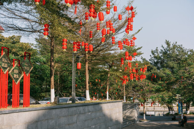 亚洲中国春节农历新年，公园树上挂满红灯笼