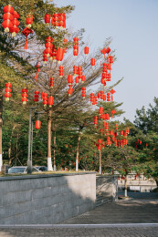 亚洲中国春节农历新年，公园树上挂满红灯笼