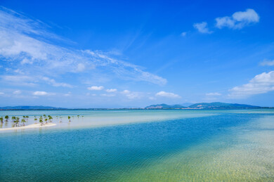 海南陵水红树林沙滩湿地保护区
