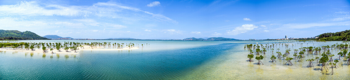 海南陵水红树林沙滩湿地保护区