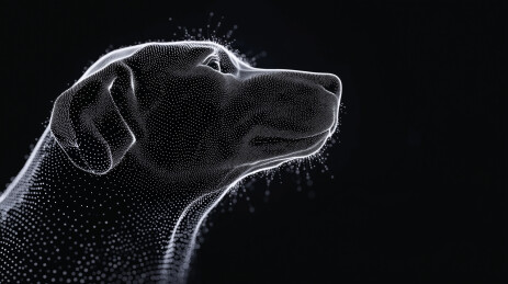 狗的侧面轮廓点阵图