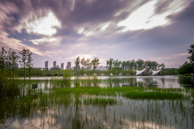 合肥蘑滩湿地风景区