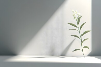 白色画布上飞溅的鲜艳颜料