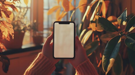 柔和光线下清新白屏手机