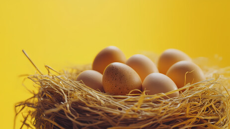 金黄稻草巢中的新鲜鸡蛋