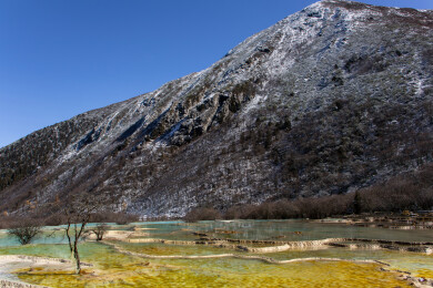 四川阿坝黄龙景区雪山下钙华彩池五彩池