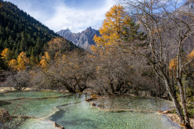 四川阿坝黄龙景区秋色，彩池森林山峰