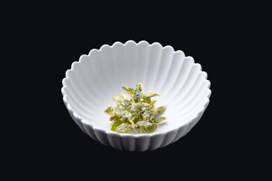 天妇罗炸嫩叶实拍