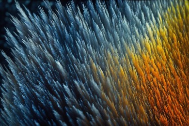 冰与火的交融主题