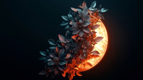 暗夜花火设计