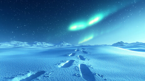 冬季北极地区夜晚的极光