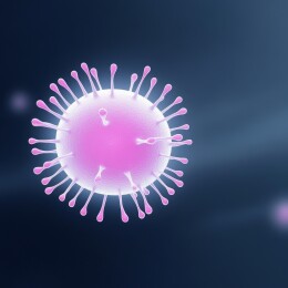 病毒细胞显微结构图