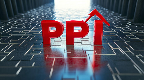 生产者价格指数上升