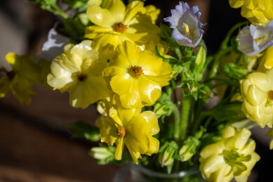 鲜花花艺蝴蝶洋牡丹