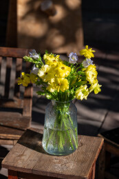 鲜花花艺蝴蝶洋牡丹