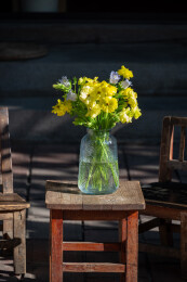 鲜花花艺蝴蝶洋牡丹