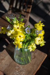 鲜花花艺蝴蝶洋牡丹